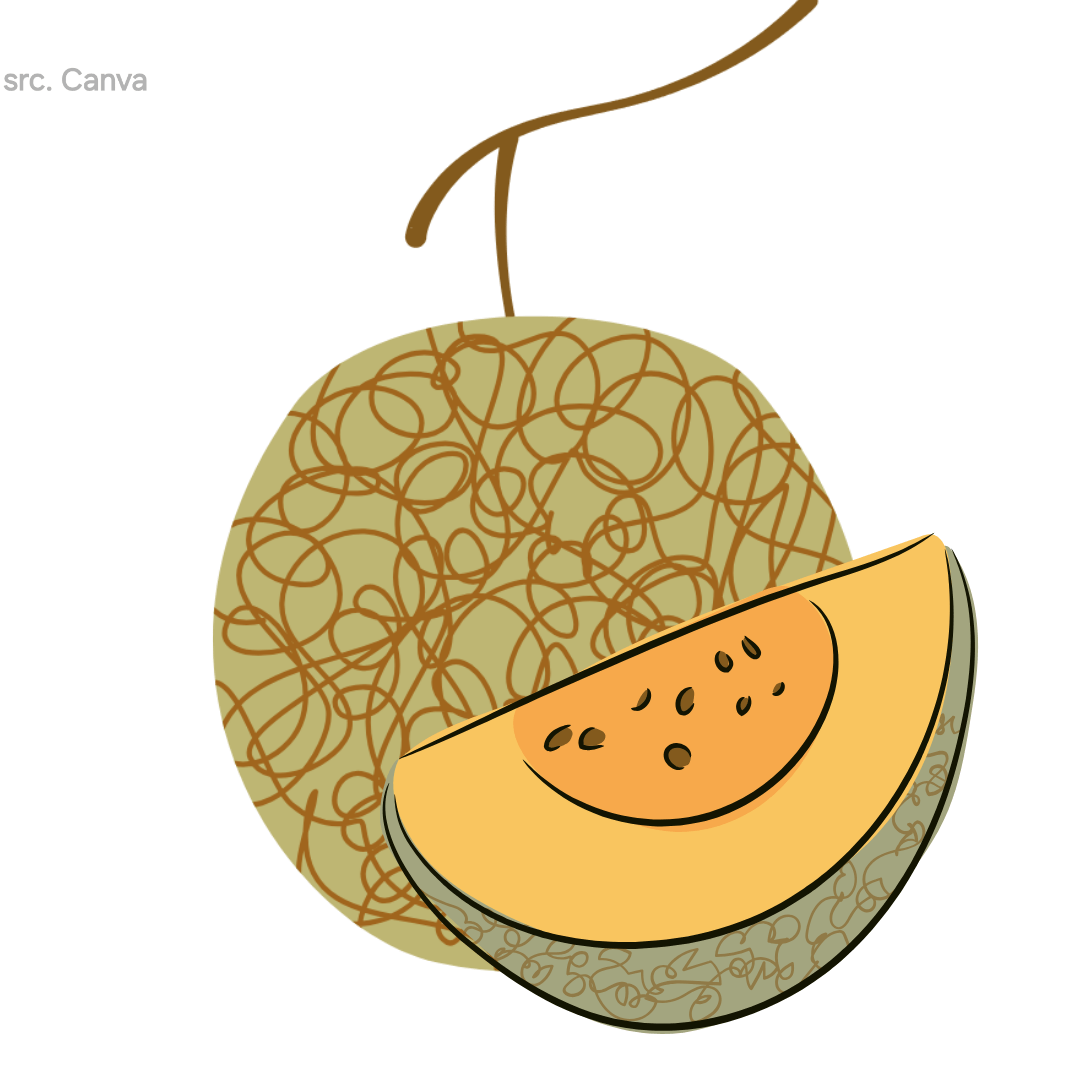 Melon