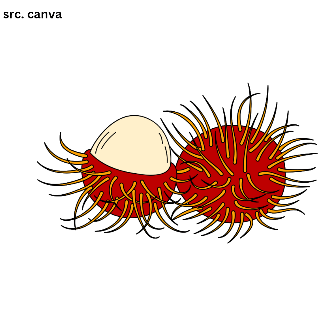 Rambutan